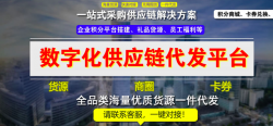 拼者礼品卡券数字化供应链平台可以做什么业务？