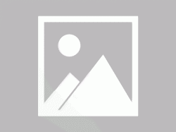 天津建行第二季“金蜜蜂”校园培训营招募活动开始了！！！